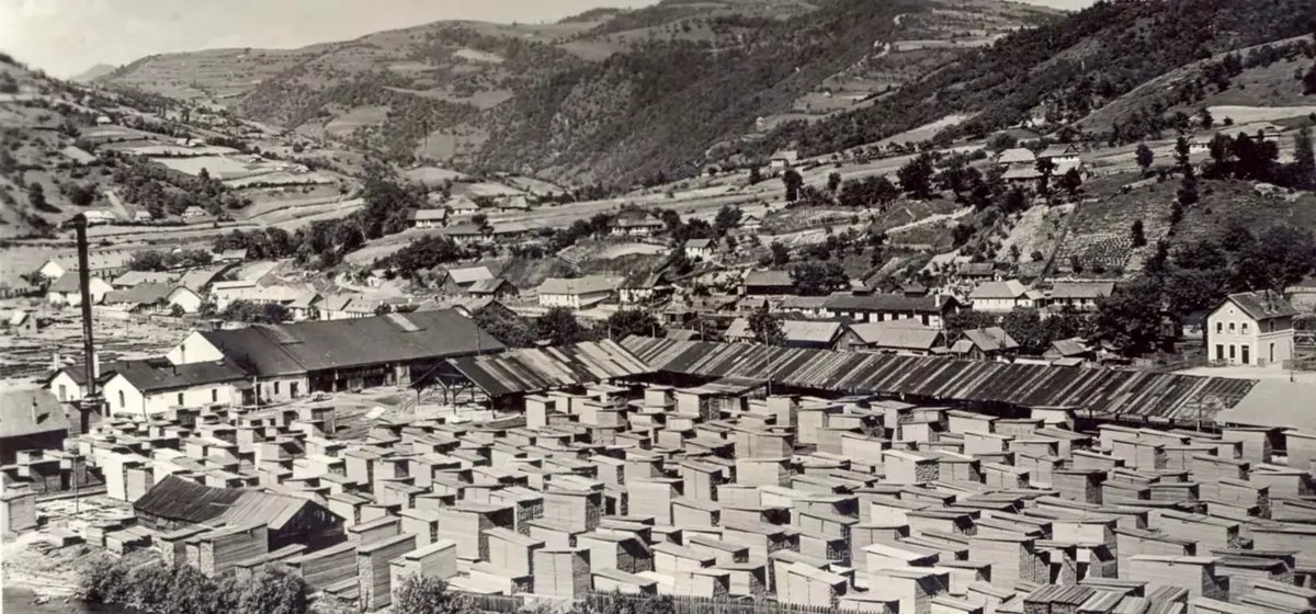 1925 — Depozitul de cherestea, deasupra satului · imagine de arhivă